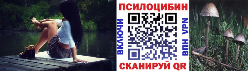 Галлюциногенные грибы Psilocybe  Вилюйск 