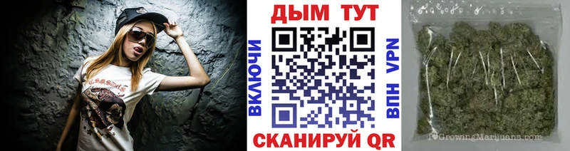 где купить   Вилюйск  МАРИХУАНА семена 